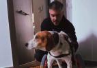 Ο Χατζηγιάννης σε νέο βίντεο μας δείχνει μια ανάπηρη σκυλίτσα και συγκινεί - Κεντρική Εικόνα