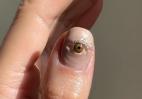 Πασίγνωστη nails artist παρουσίασε το πιο... creepy 3D μανικιούρ - Κεντρική Εικόνα